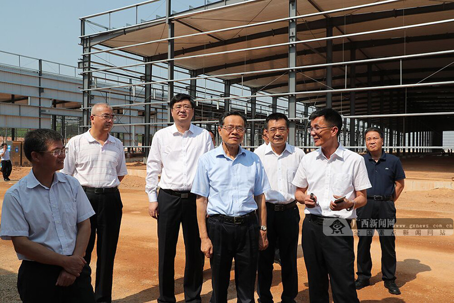 陈武深入崇左市扶绥县调研