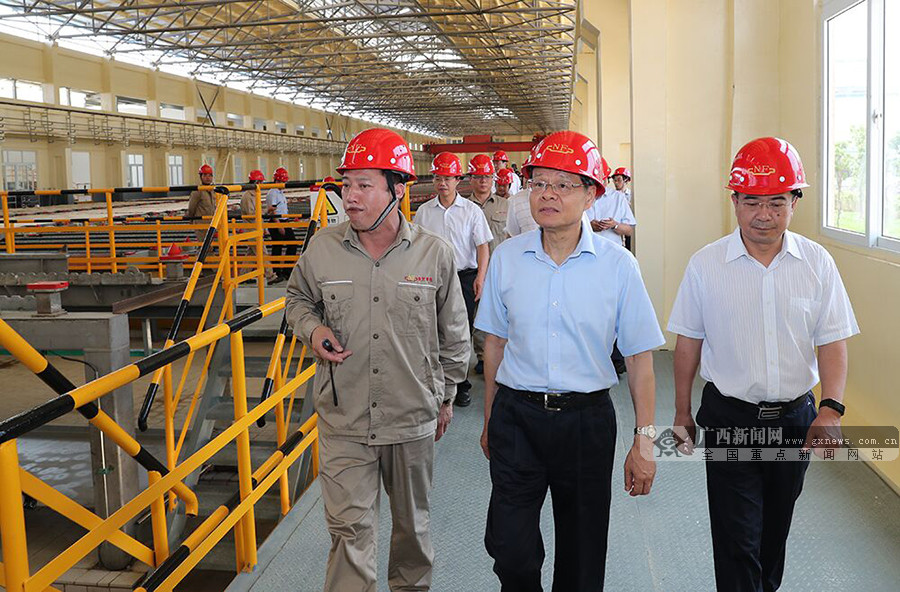 陈武深入崇左市扶绥县调研