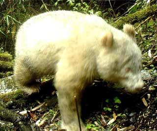 广西手机报6月2日下午版
