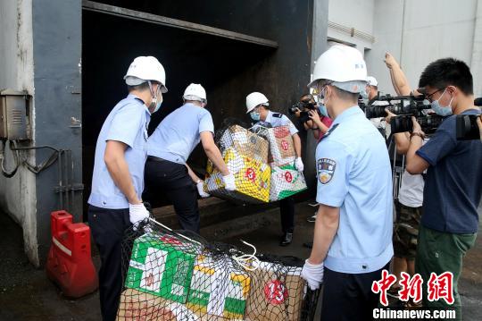 海南集中销毁毒品281632.75克