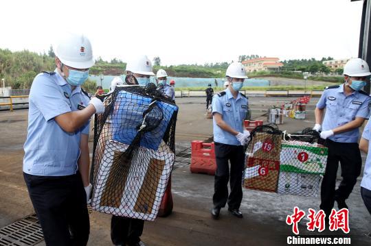 海南集中销毁毒品281632.75克