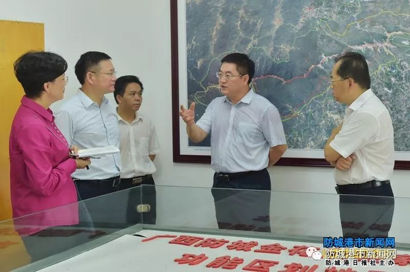 防城港市委书记,市人大常委会主任李延强到防城区调研生态环境保护