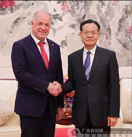 陈武会见奥地利联邦议会议长英戈·阿佩