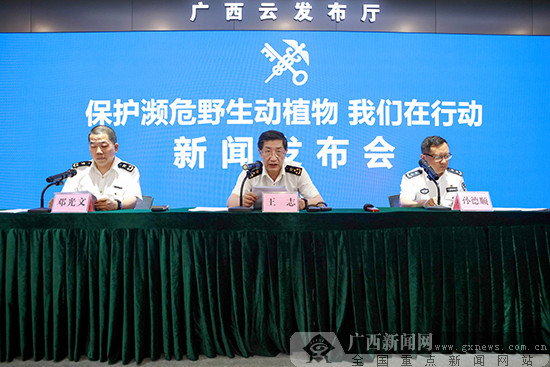 南宁海关立案查办象牙等濒危物种及其制品案件100起