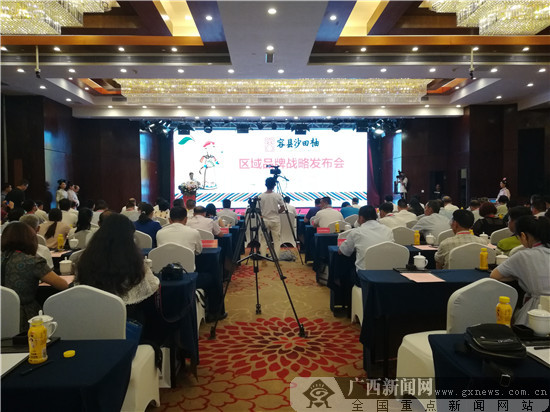 千年容县沙田柚闯世界 区域品牌战略发布会今举行
