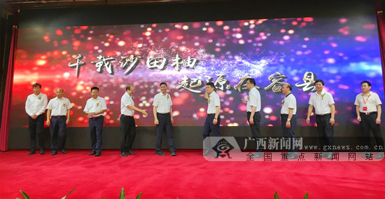 容县沙田柚区域品牌战略发布会在南宁举行
