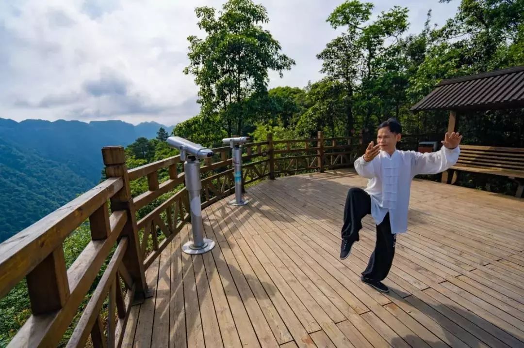 森林康养