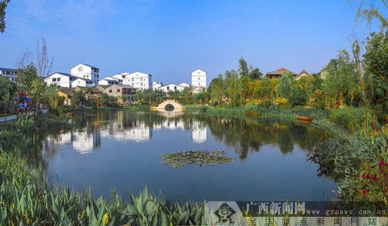 广西提前超额完成2019年国家“亿亩”造林任务