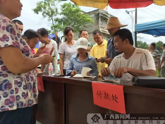 龙州："坡姆干劲"源于不服输 乡村振兴要解放思想