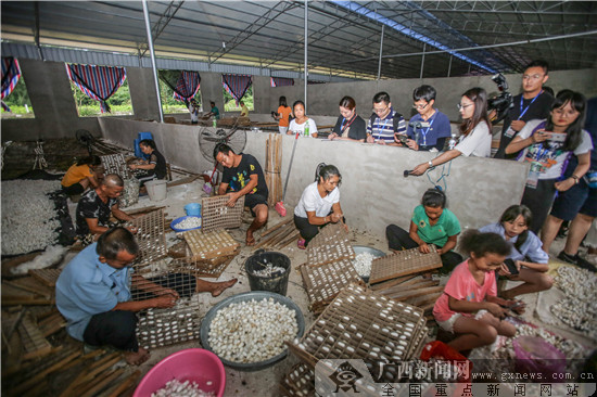 龙州："坡姆干劲"源于不服输 乡村振兴要解放思想