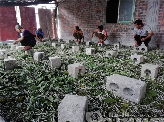 靖西南坡:老党员不忘初心 义务开办“农家课堂”