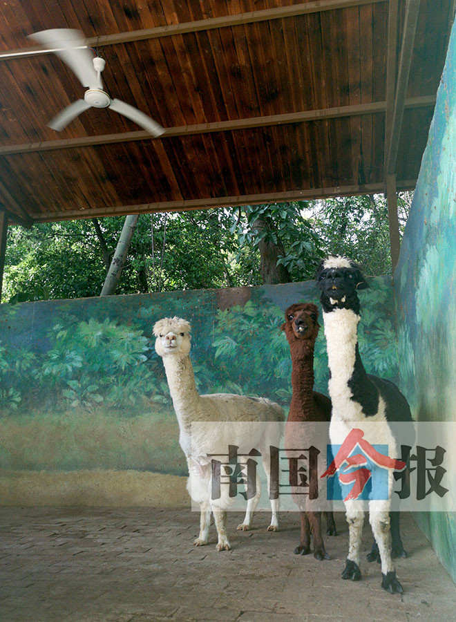 请保重!头顶烈日坚持工作 户外劳动者们辛苦了