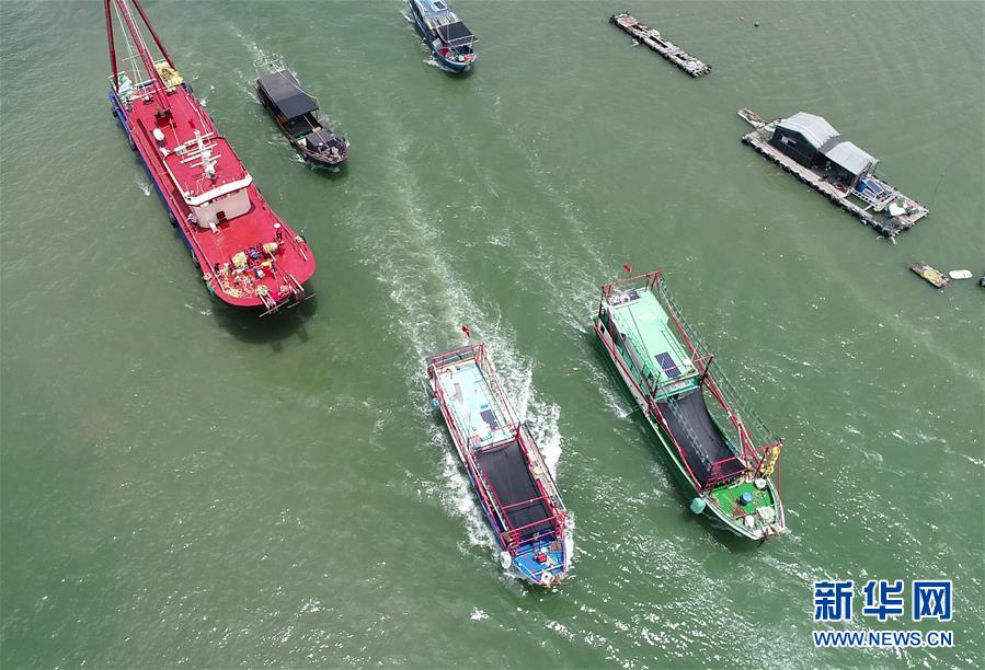 8月16日,渔船从广西防城港市港口区企沙港陆续拔锚启航(无人机拍摄).