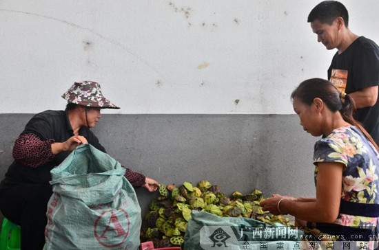 【政协八桂行】桂林政协委员积极履职助贫困户摘穷帽