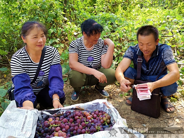 长征精神点亮兴安 葡萄节促农商百尺竿头更进一步