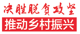 广西开展消费扶贫 为贫困村“土货”进城敞开大门