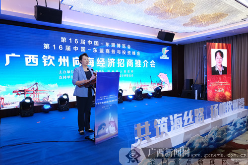 广西钦州向海经济招商推介会在南宁举行