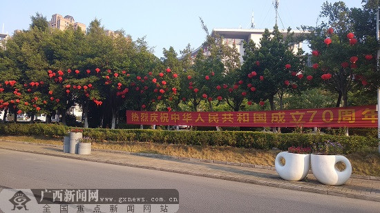 荷城:红旗飘飘欢度国庆