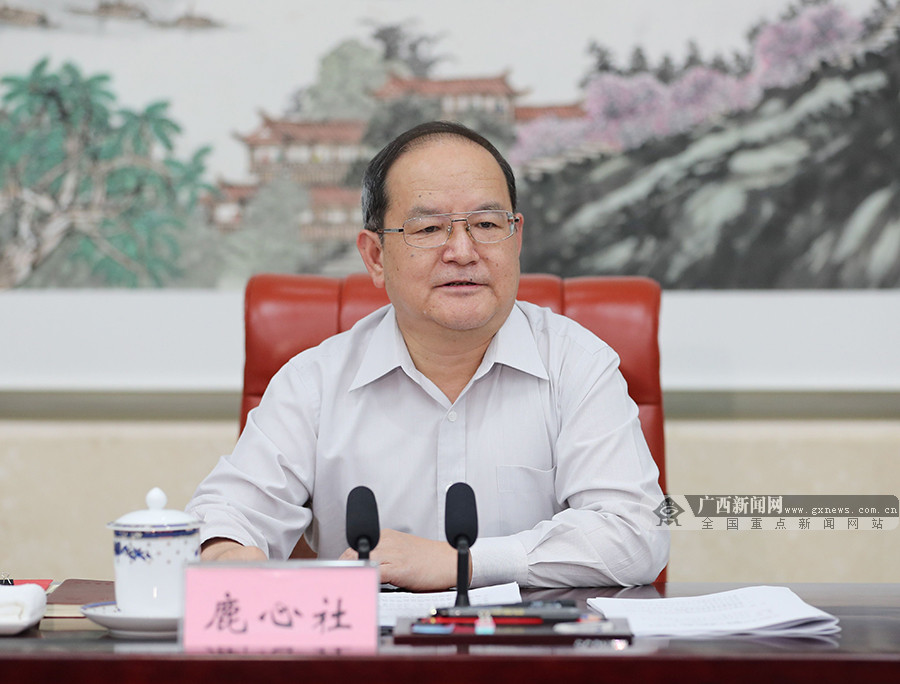 自治区乡村振兴(“美丽广西”乡村建设)领导小组召开会议