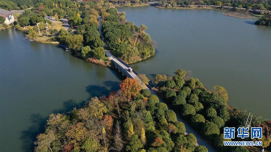 gdp超过1000亿的县2020_2020贵港市五区县gdp(3)