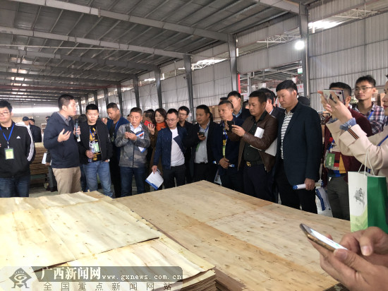 第四屆中國(貴港)木材加工業發展高峰論壇舉行