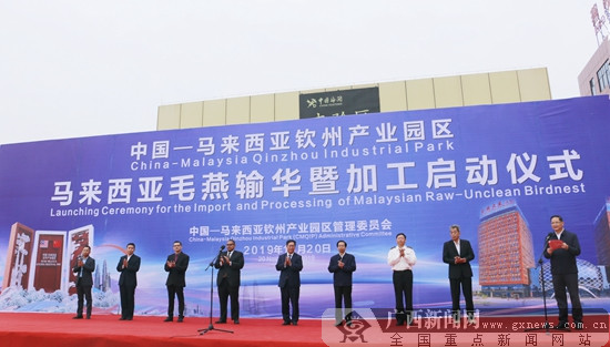 马来西亚毛燕抵华 中马钦州产业园燕窝产业投产