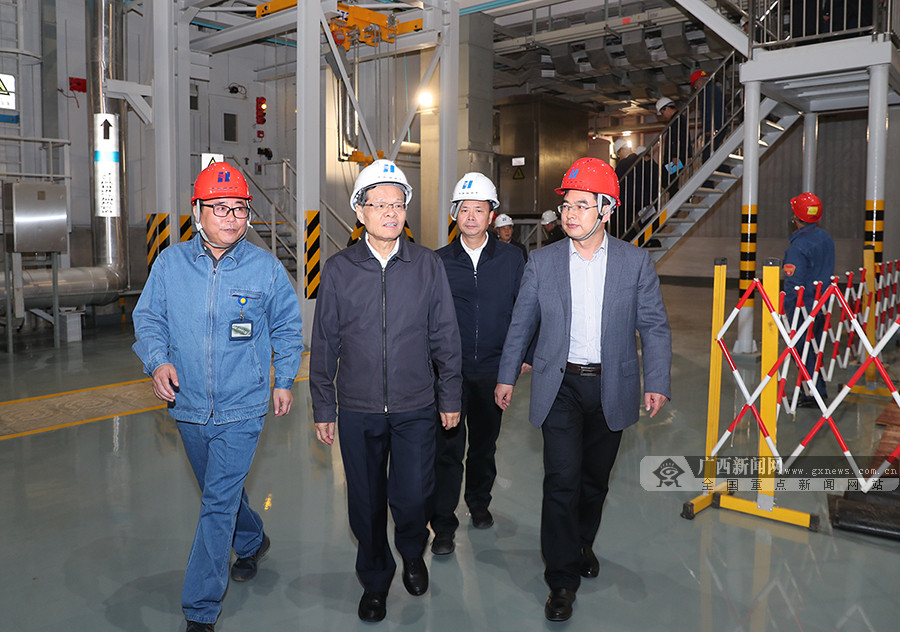 陳武到桂林市考察項目建設
