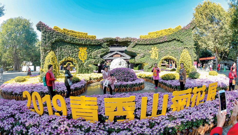 南寧青秀山菊花展進入最佳觀賞期 持續至12月23日