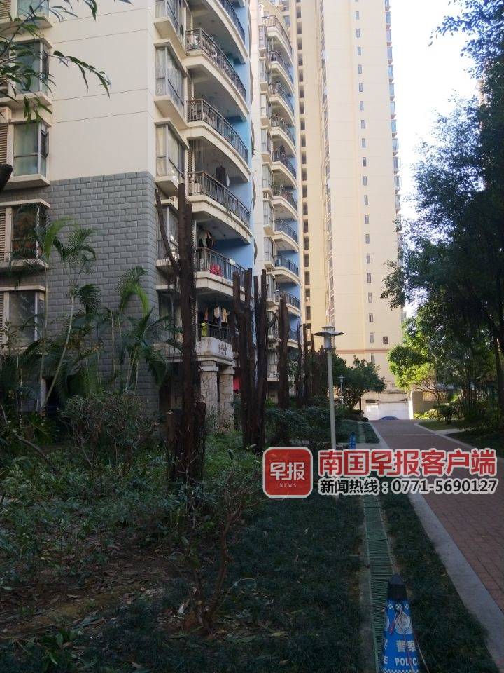 近日,南宁市保利凤翔花园的业主向南国早报反映,质疑小区绿化树被物管