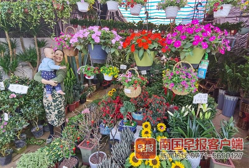 南宁迎春花市开市 年宵花品种丰富价格亲民 广西新闻网