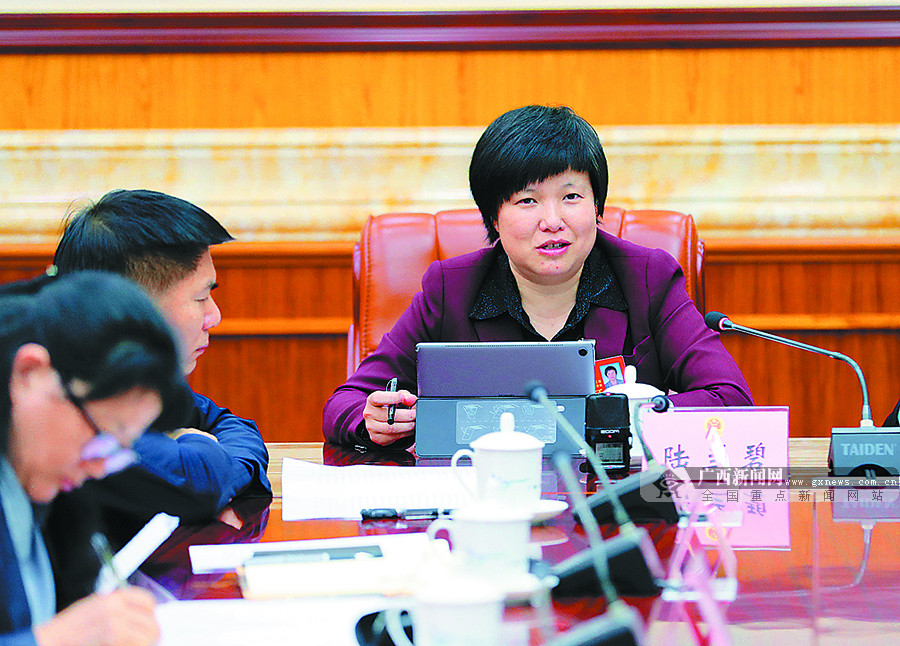 在审议自治区人大常委会工作报告时,百色代表团的陆兰碧代表建议加大