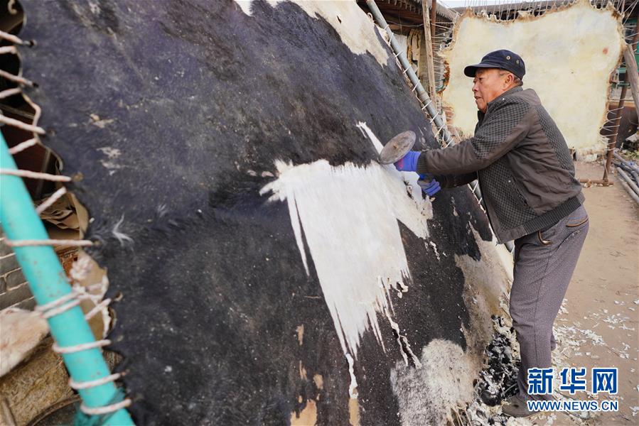 1月15日,李建章在家中清理用于制作皮影的牛皮.