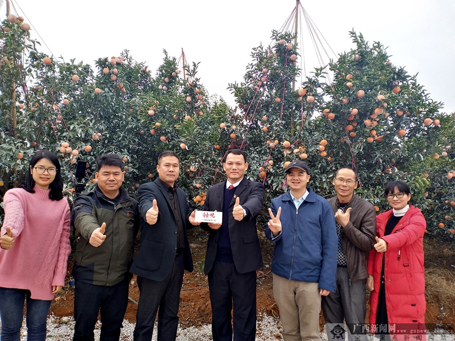 【新春走基层】南泗乡党委书记为农产品代言:我村有好货