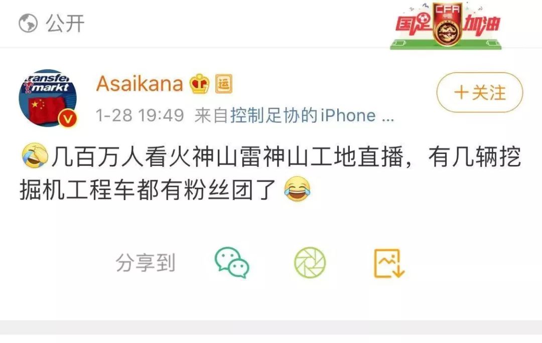 "小蓝""小绿"火了
