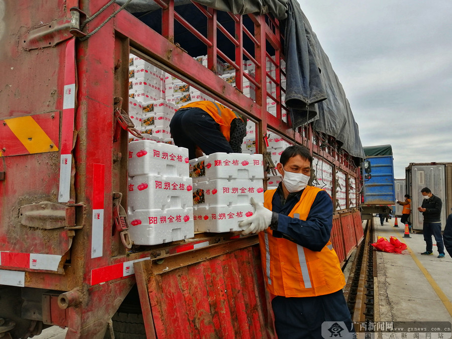 “护肺神果”罗汉果金桔领衔 200吨果蔬驰援湖北