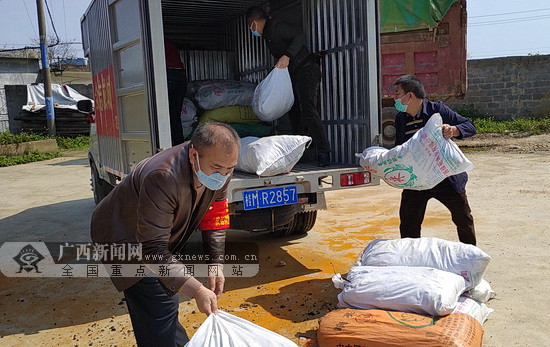 宜州宜畔屯村民捐赠4000斤果蔬援助都安战"疫"