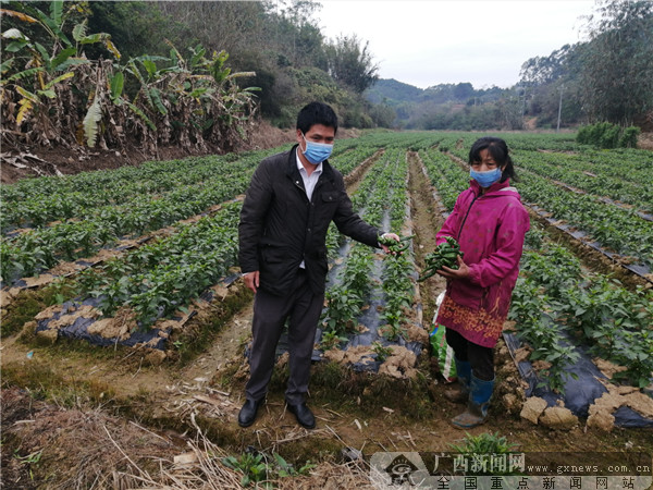“疫”与“贫”双线作战