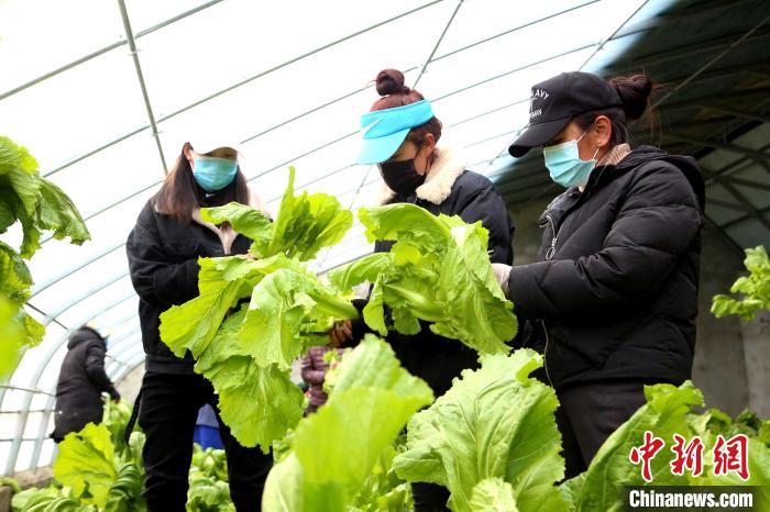 藏鄂情深抗疫情 西藏山南捐赠首批生活物资驰援湖北