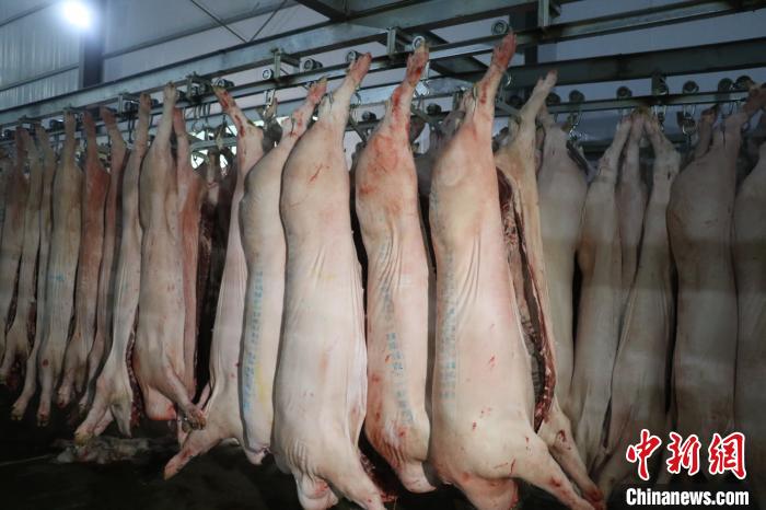 藏鄂情深抗疫情 西藏山南捐赠首批生活物资驰援湖北