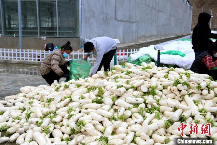 藏鄂情深抗疫情 西藏山南捐赠首批生活物资驰援湖北