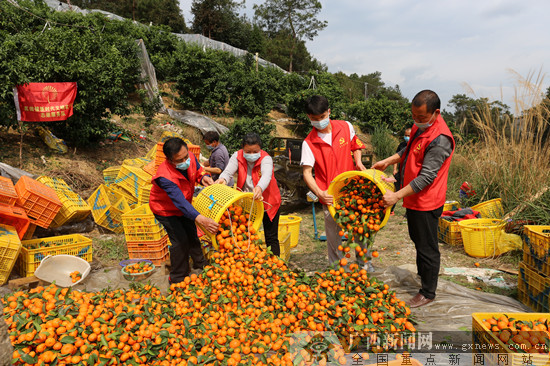 阳朔新时代文明实践服务队助力贫困户脱贫不掉队