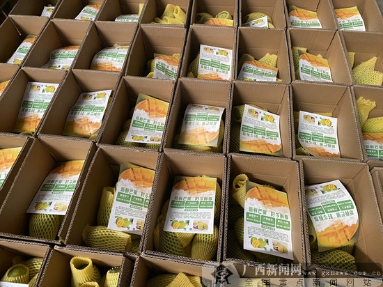 “凭祥直发”专题直播达人挑战赛启动