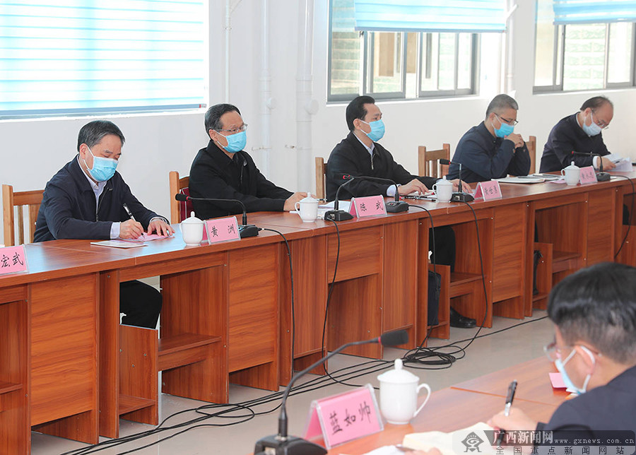陈武到都安检查指导新冠肺炎疫情防控和脱贫攻坚工作