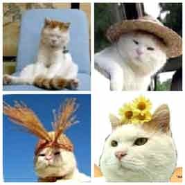 广西手机报3月15日下午版