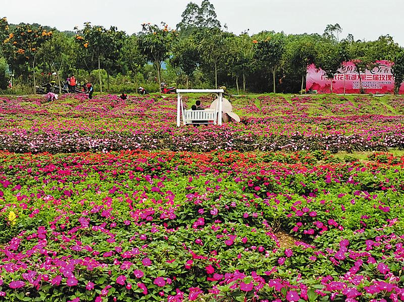 拥抱玫瑰花海 地点:花雨湖生态休闲旅游区 走进南宁花雨湖生态休闲