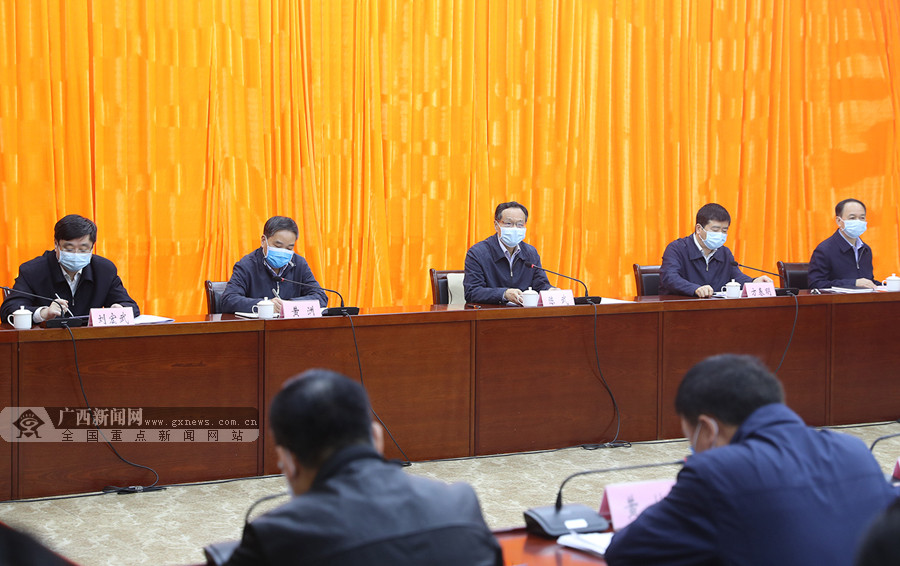 陈武深入西林、隆林调研并主持召开自治区脱贫攻坚挂牌督战第四次调度会