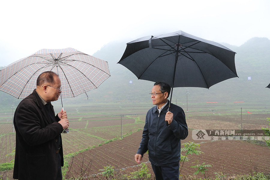 陈武深入西林、隆林调研并主持召开自治区脱贫攻坚挂牌督战第四次调度会