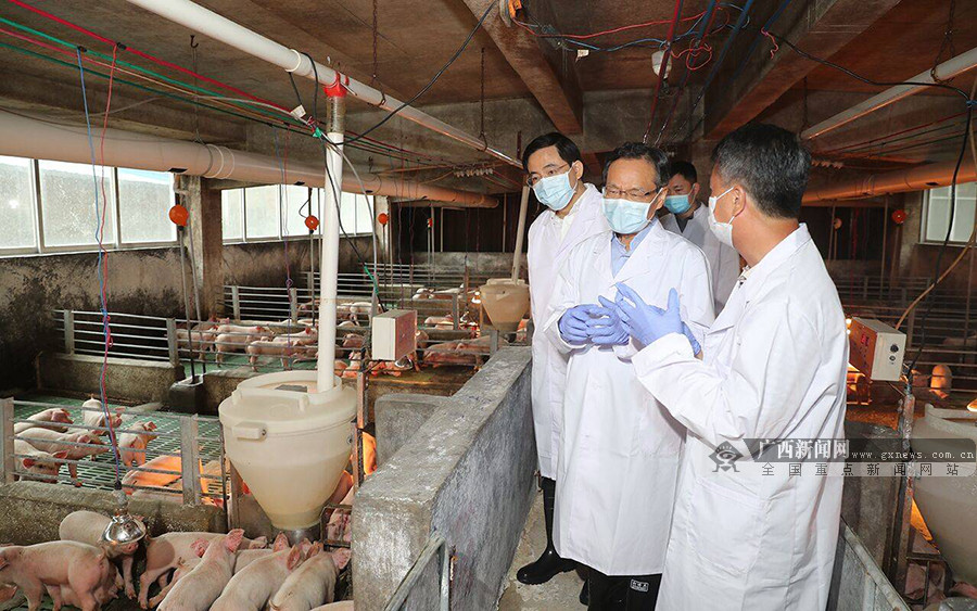 陈武深入博白县、兴业县调研