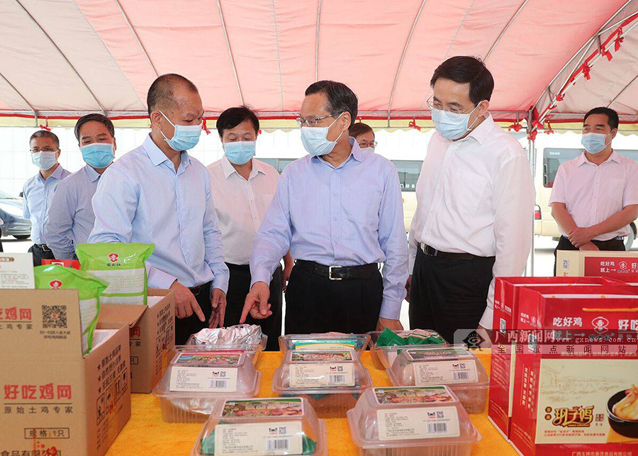 陈武深入博白县、兴业县调研