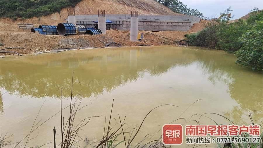 鱼塘几乎被淤泥填满.南国早报客户端记者 钟小启摄